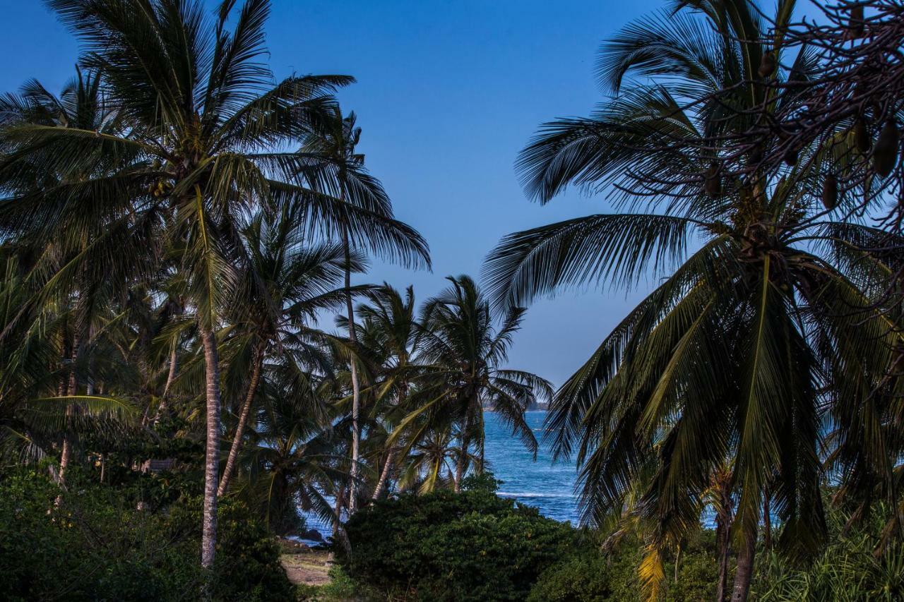 Msambweni Beach House Villa Luaran gambar